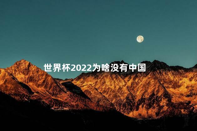 世界杯2022为啥没有中国