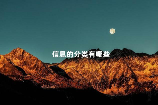 信息的分类有哪些