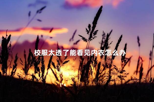 校服太透了能看见内衣怎么办