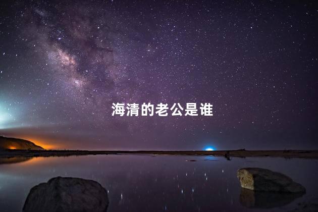 海清的老公是谁