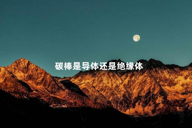 碳棒是导体还是绝缘体