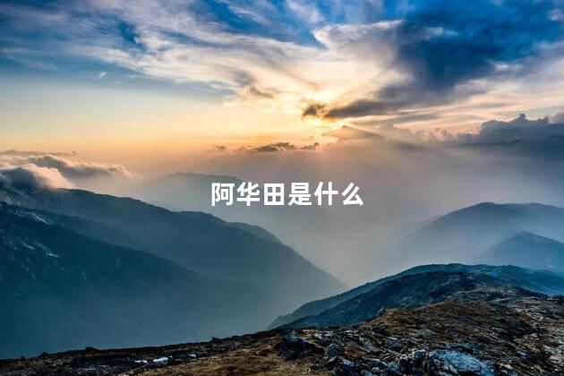 阿华田是什么