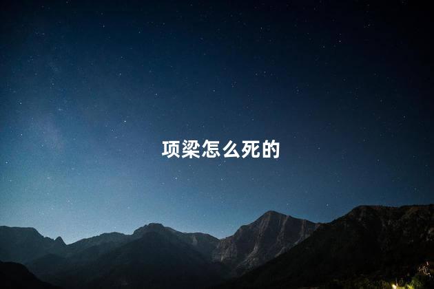 项梁怎么死的