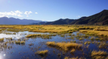十大观鸟基地之一 贵州最大的高原天然淡水湖泊