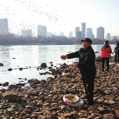 市民在黄河边投喂候鸟　吕晟君摄