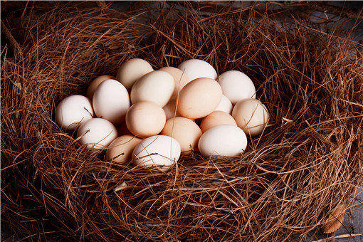 蛋鸡苗春季管理需要注意什么