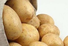 土豆拌种原因及预防方法