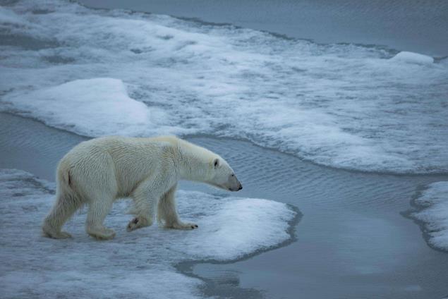 <b>北极高温对地球的影响 世界气象组织呼吁应对北极高温</b>