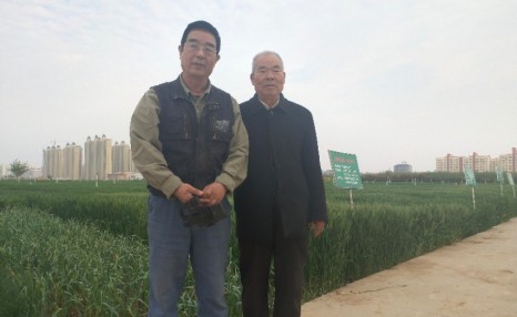 杨凌示范区农业技术推广协会2019工作汇报