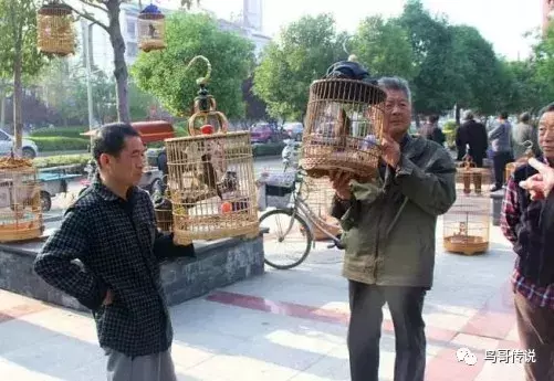 遛鸟的注意事项！很重要！