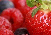 大棚草莓种植方法！大棚草莓种植密度！行株间距多少？每亩多少颗？