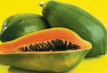 木瓜高产种植要怎么做？