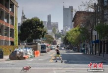 应对疫情 美国旧金山市宣布启动“接触者追踪计划”