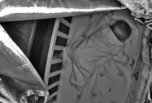 三个月女婴训练趴睡时身亡 详细经过曝光妈妈全程死亡直播令人愤怒