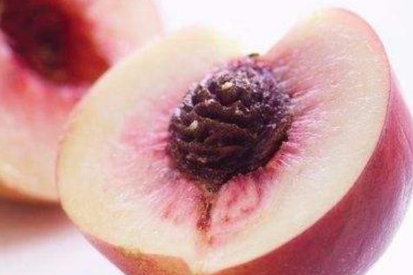 吃完的桃子怎么种 桃子核种植技术
