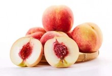 吃完的桃子怎么种？桃子核种植技术！秋季桃核种植施肥小技巧！