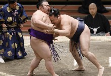 日本相扑协会：5名运动员被确诊感染新冠病毒