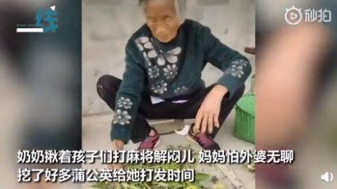 92岁外婆带83岁奶奶摸河蚌怎么回事？详细经过现场图曝光太有爱了