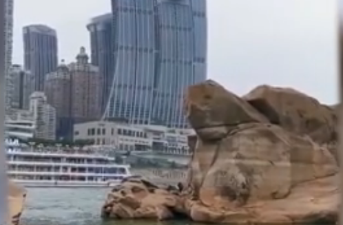 重庆千年神龟奇石露出江面图片惊人 专家揭秘身世