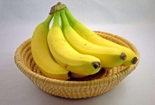 关于香蕉种植问题！香蕉枯萎病的症状及防治方法和栽培技术！