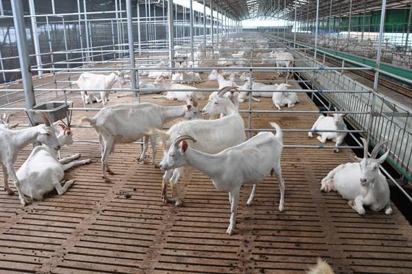 为农业插上科技的翅宝博体育- 宝博体育官网- 宝博体育APP下载 BaoBoSports膀