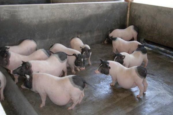 U8国际- U8国际官方网站- U8体育APP下载增强在校大学生的创业素质和能力