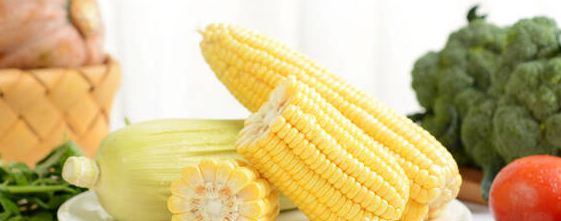 牛奶玉米是什么品种？农产品知识！