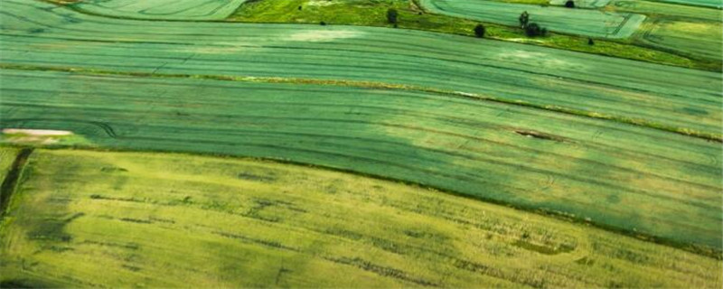 三江平原种植水稻的原因？农产品知识！