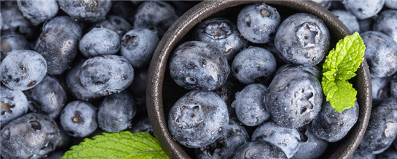 蓝莓种植气候要求