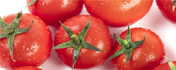 西红柿落花落果的原因？种植问题！