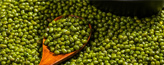 如何提高绿豆产量