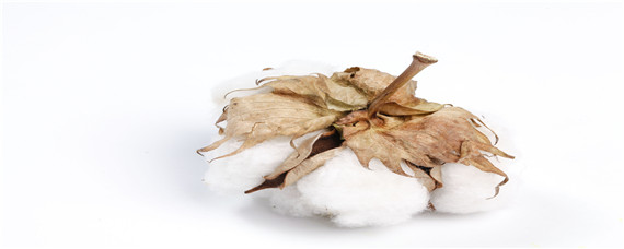 埃及种植长绒棉的有利条件