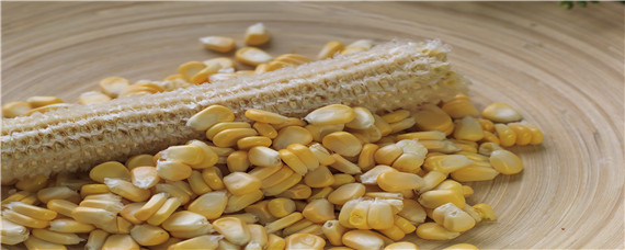 玉米粒放什么药不生虫？农产品知识！