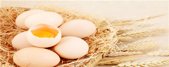 鸡蛋破损的主要原因？农产品知识！