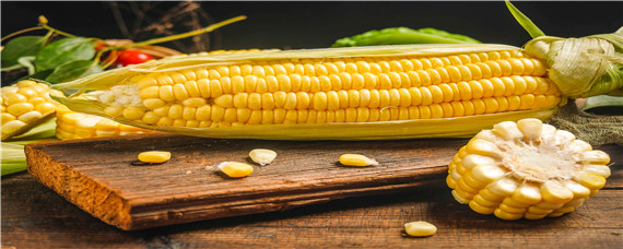 玉米的表面是什么