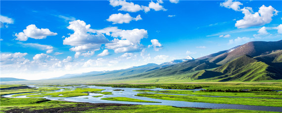 新疆发展什么农业
