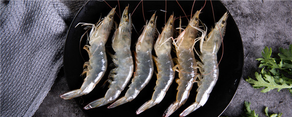 基围虾是淡水养殖还是海水养殖
