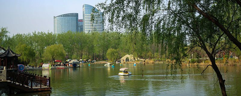 去青浦郊野公园要怎么游玩？上海还有这些景点不可错过