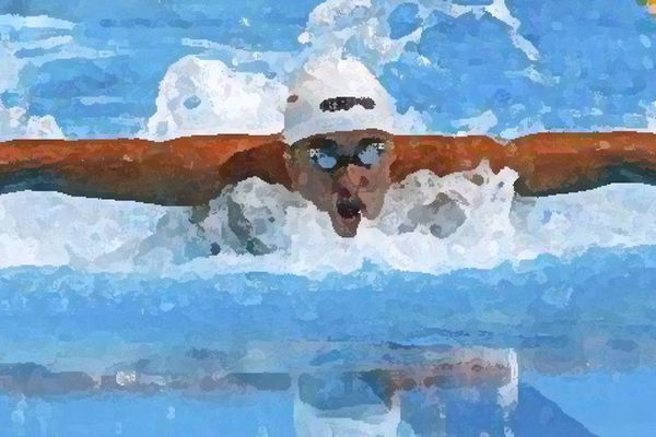 郭晶晶将任奥运会跳水评委，运动的相关知识