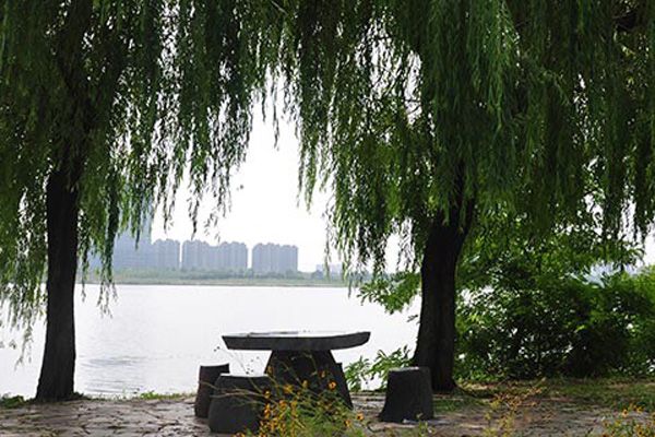 上海乐高乐园将于2024年开业，一起了解相关知识