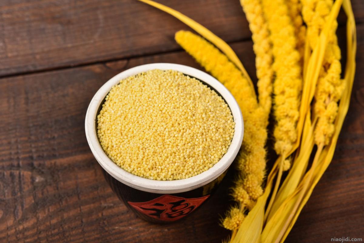 小米的功效与作用，有什么禁忌 小米的功效与作用