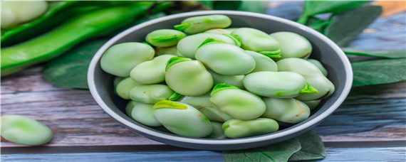 蚕豆常见病害及防治 蚕豆常见病害的防治方法