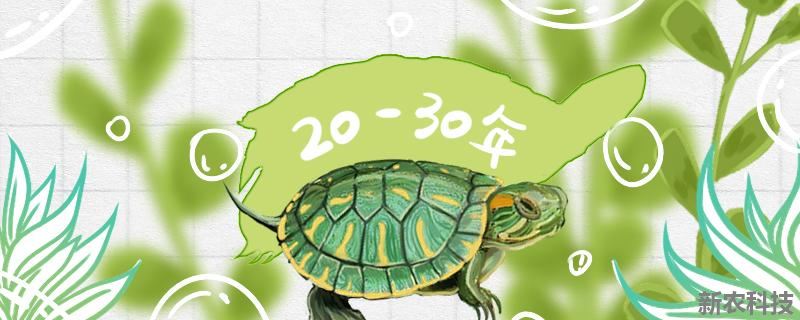 巴西红耳龟的寿命