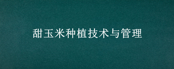 甜玉米种植技术与管理