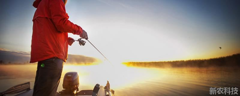 钓鱼有技巧吗 河里钓鱼的技术及技巧