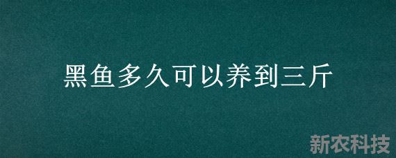 黑鱼多久可以养到三斤