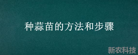 种蒜苗的方法和步骤