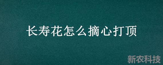 长寿花怎么摘心打顶