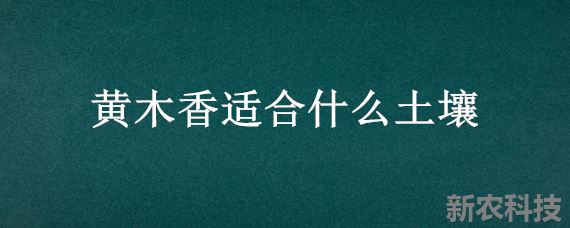 黄木香适合什么土壤