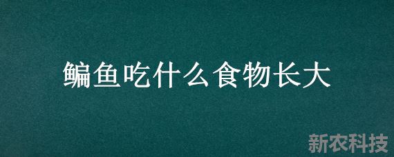 鳊鱼吃什么食物长大